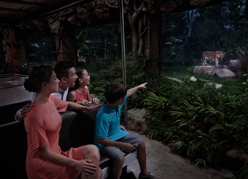 トレッキングコース